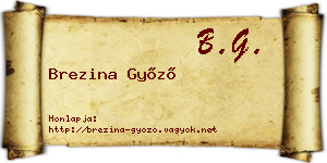 Brezina Győző névjegykártya